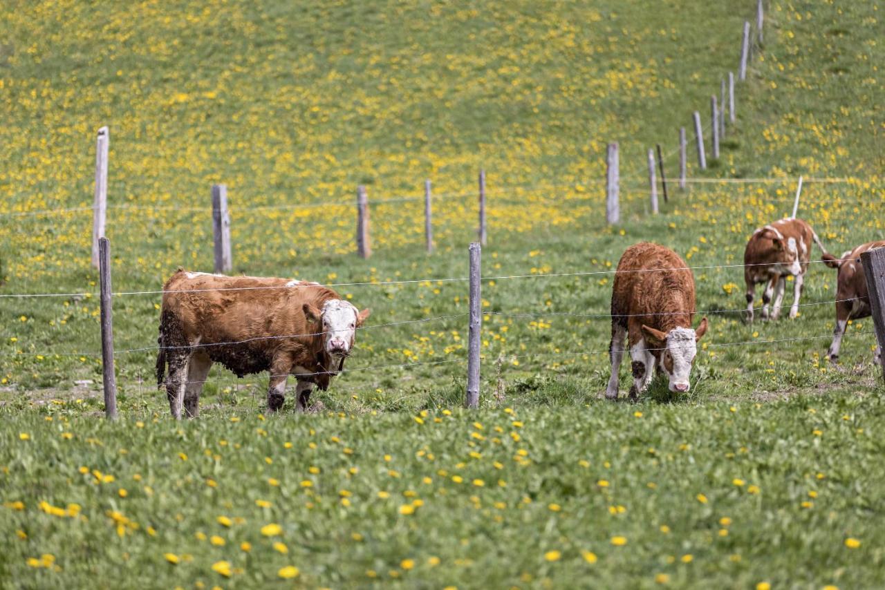 Ferienwohnung Gitschbergblick Terento Eksteriør bilde